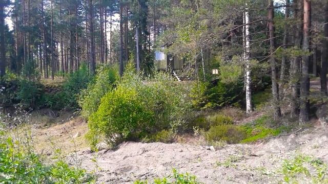 Искали грибы,нашли патроны)