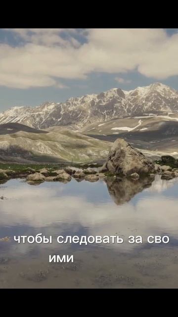 Ты творец своей жизни #shorts