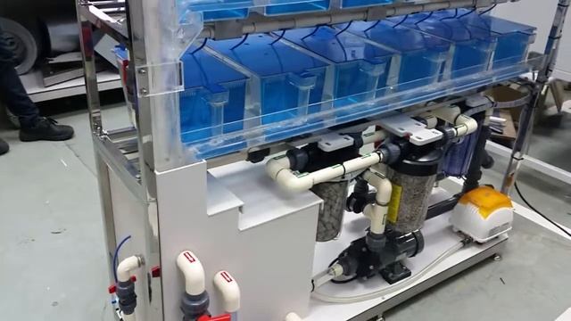 Zebra Fish Housing System