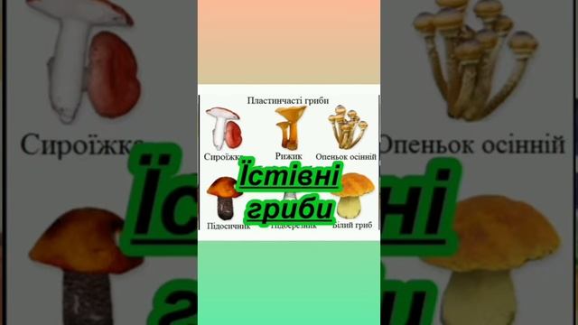 ЦУПЖ "Гарні та небезпечні гриби"
