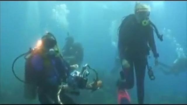 Dive Lighthouse Reef Cayman Brac