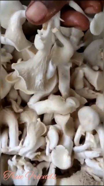 mushroom briyani 🍲 puratasi special...#shorts #trending #viral #subscribe #comedy #truefriends #new