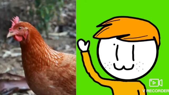 Новый бит от Курицы.