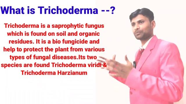 What is trichoderma | Why use trichoderma | ट्राइकोडर्मा क्या है | Hindi / English |