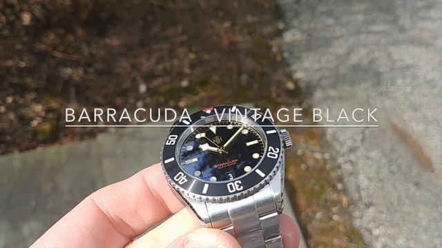 Barracuda Vintage Black - Coming to a Retailer Near You!