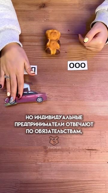 ИП и ООО #настямалова #обществознание #егэ