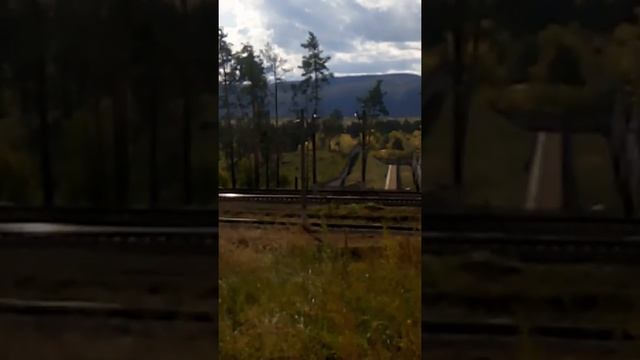22 сентября прогулка по лесу грибов мало.