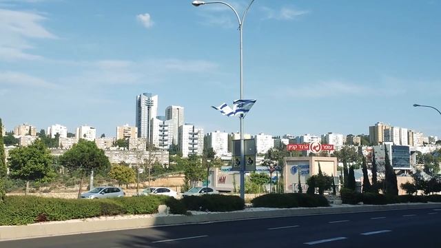 Кустики Хайфы