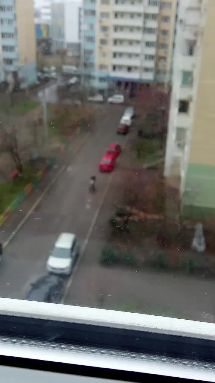 двор