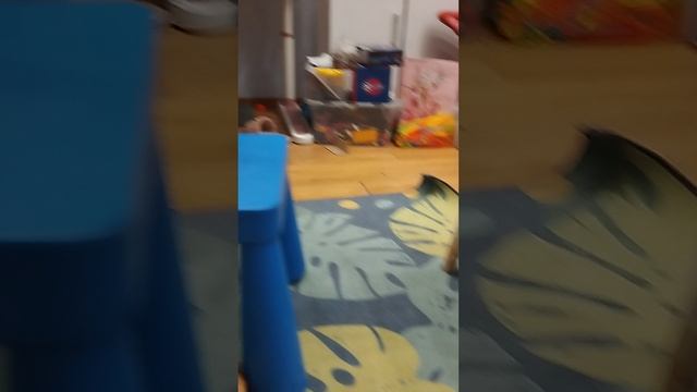 1000012477.mp4