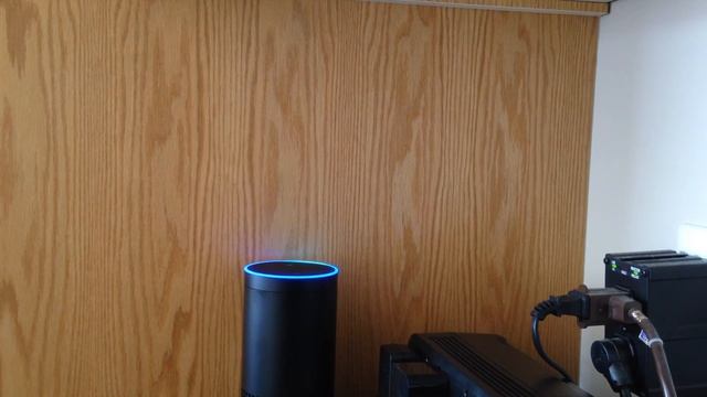 Amazon Echo - Custom Voice Announcment