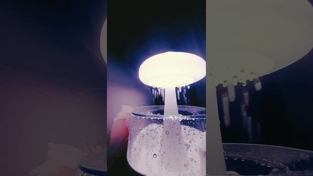 Relax. Ручей, дождь, капля. Мухомор. Гриб. ASMR