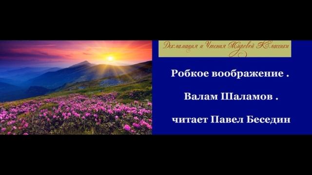 Робкое воображение   Варлам Шаламов  читает Павел Беседин