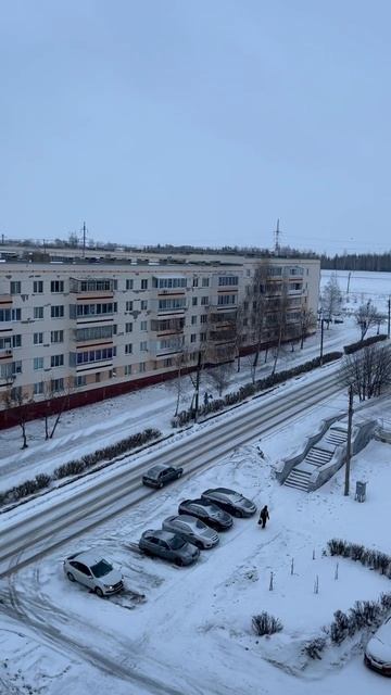 Дневной понедельник!
BioTeach