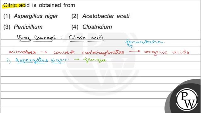 Citric acid is obtained from (1) Aspergillus niger (2) Acetobacter aceti (3) Penicillium