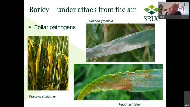 International Barley Hub seminar: Barley, running the disease gauntlet and chemical attack!