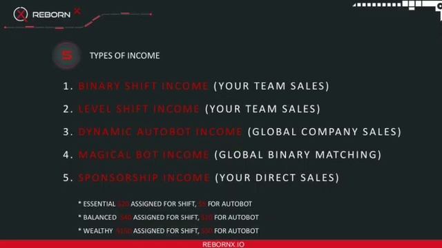 REBORNX - HINDI BUSINESS 2 PLAN (Call : 7667176002)