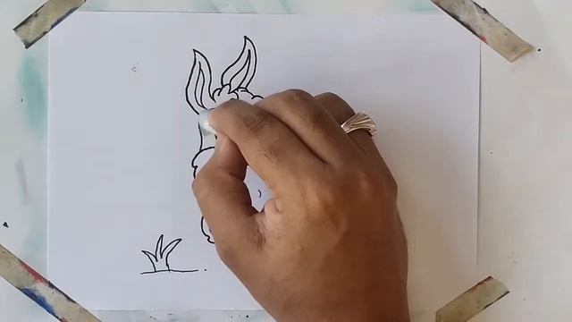 How to draw a rabbit or bunny- in easy steps tutorial