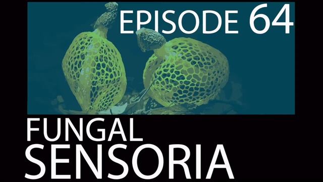 Episode 64 - Fungal Sensoria