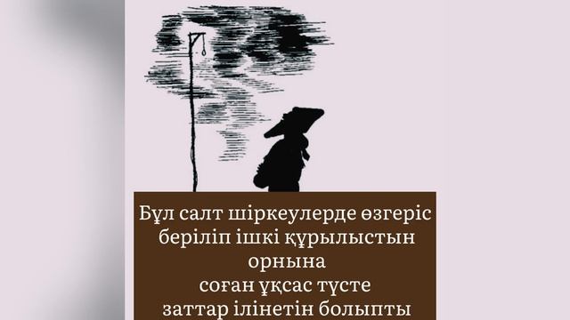 Шырша туралы сұмдық шындық😖 #жаналықтар #новыйгод #новый #праздник #елкановогодняя #поэзия #проза