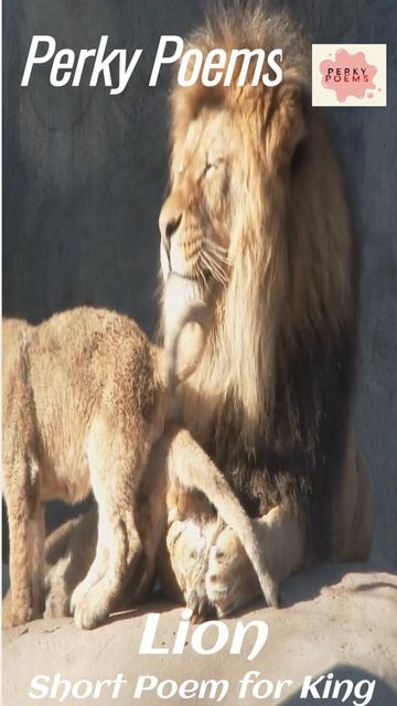 Simba The Lion King Poem song Youtube Shorts #lionking #youtubeshorts #viralsshorts
