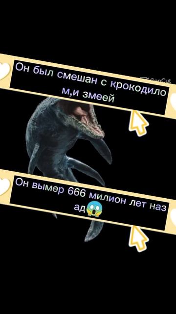 Самые опасные акулы мира!😱🦈