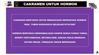 Penjelasan Produk knowledge Cakramen
