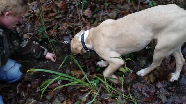 Truffle Hunting in Italy!