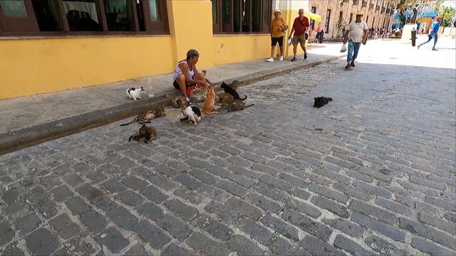 Havana, Cuba, Downtown District, Walking Tour 2024