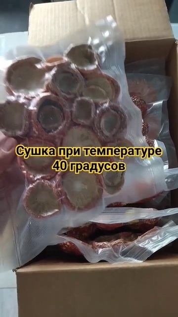 Мухомор