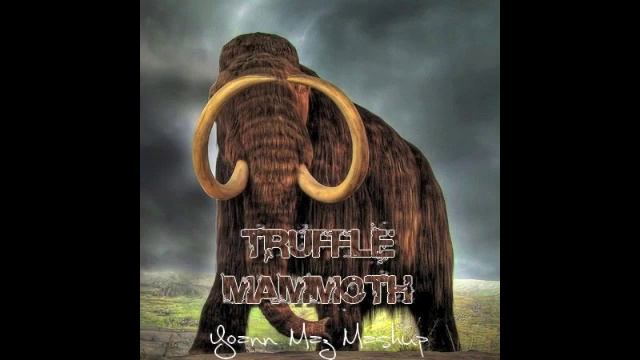 Tommy Trash VS Moguai, Dimitri Vegas & Like Mike - Truffle Mammoth (Yoann Maz MashUp)