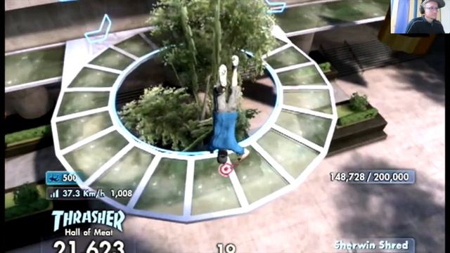 Let` play skate 3 in 2018 blind Suicidal tendencies?