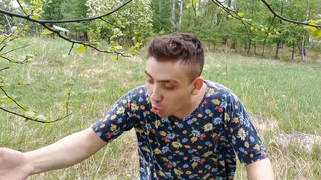 Первое знакомство