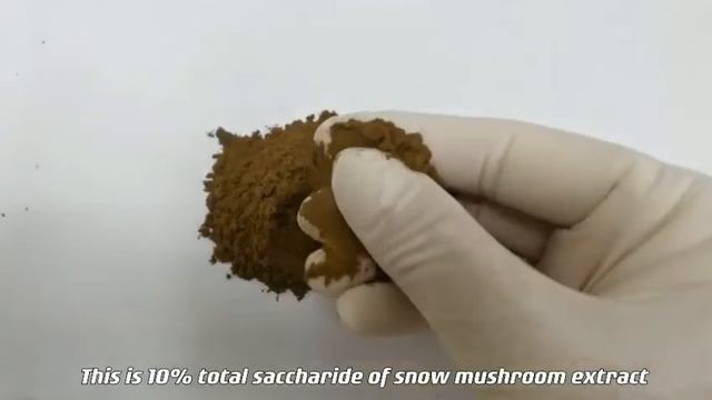 snow mushroom extract by Botanical Cube Inc