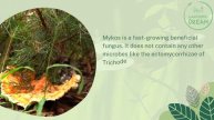 Best Mycorrhizal Products In The Market Today