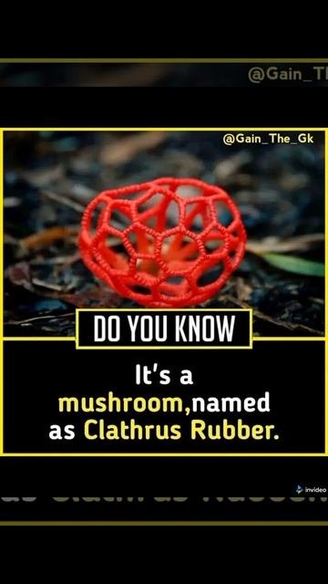 Clathrus Rubber mushroom # SCIENCE FACTS