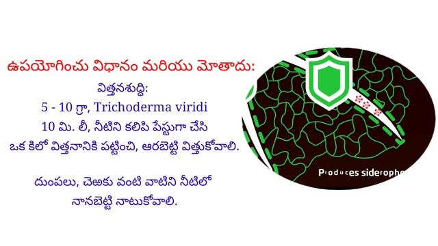 Uses of TrichodermaViridi #trichoderma #biofertilizer #biopesticides  #innovaalabs #savesoil