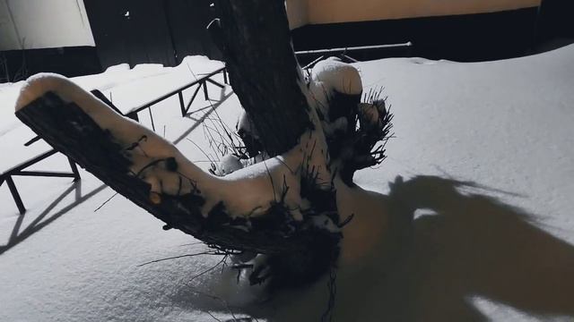 VID 20231214 203432 Да! струится вода...(Гильвик)...Павел Васильев Лахтинский