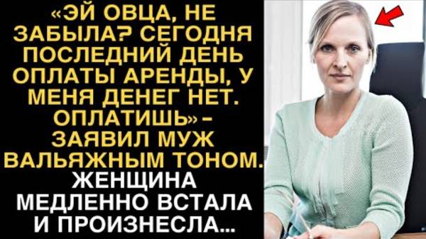 «ЭЙ ОВЦА, НЕ ЗАБЫЛА? СЕГОДНЯ ПОСЛЕДНИЙ ДЕНЬ ОПЛАТЫ АРЕНДЫ, У МЕНЯ ДЕНЕГ НЕТ, ОПЛАТИШЬ»