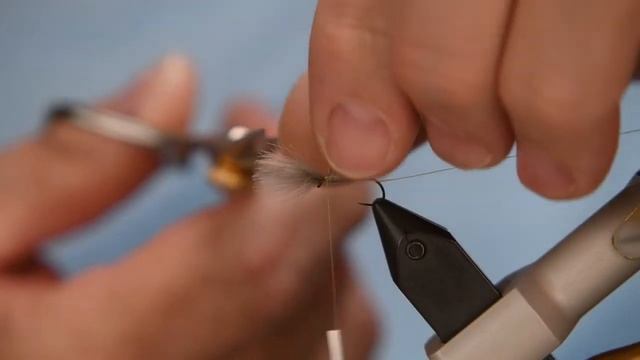 Tying the Plume Tip