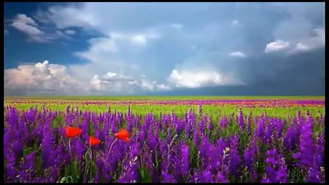 Ты не один...(духовная поэзия)