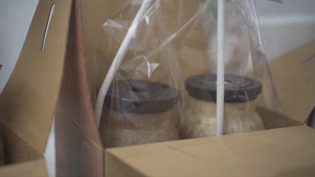 수확하는 재미가 쏠쏠, 집에서 키워먹는 건강한 식재료 / 버섯 키우기, 콩나물 키우기 / 버섯샤브샤브