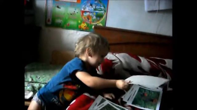 Карточки Грибы  Играем  Октябрь 2016
