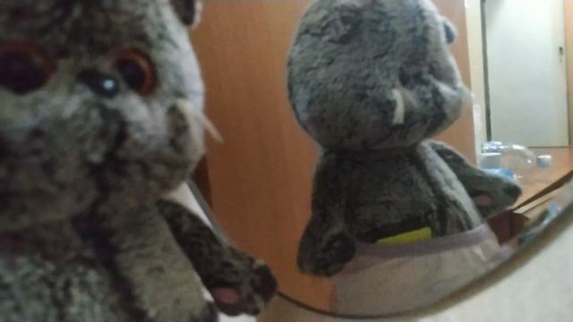 басикен обычный день