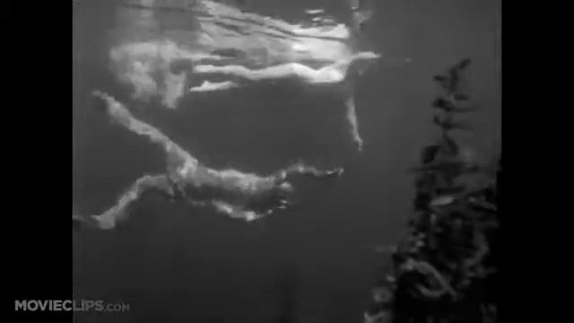 Creature From The Black Lagoon
