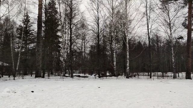 lv_0_20250202171139