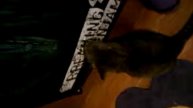 Kitty licking poster