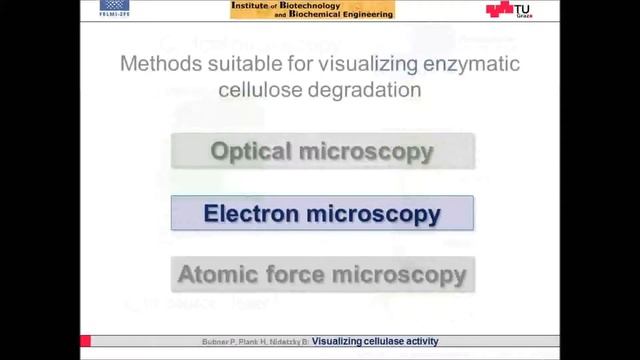 B&B: Visualizing cellulase activity