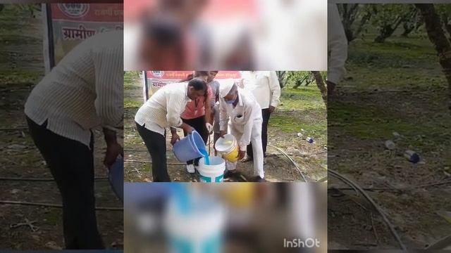 Preparation of Bordeaux mixer. #RCSM college of Agriculture,kolhapur. #rawe programme #agrico