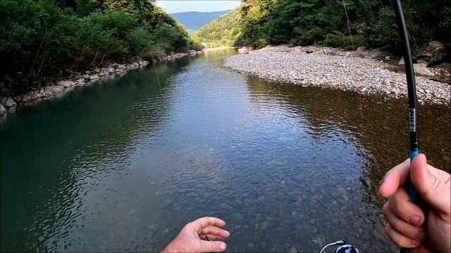 Голавль р.Туапсе
